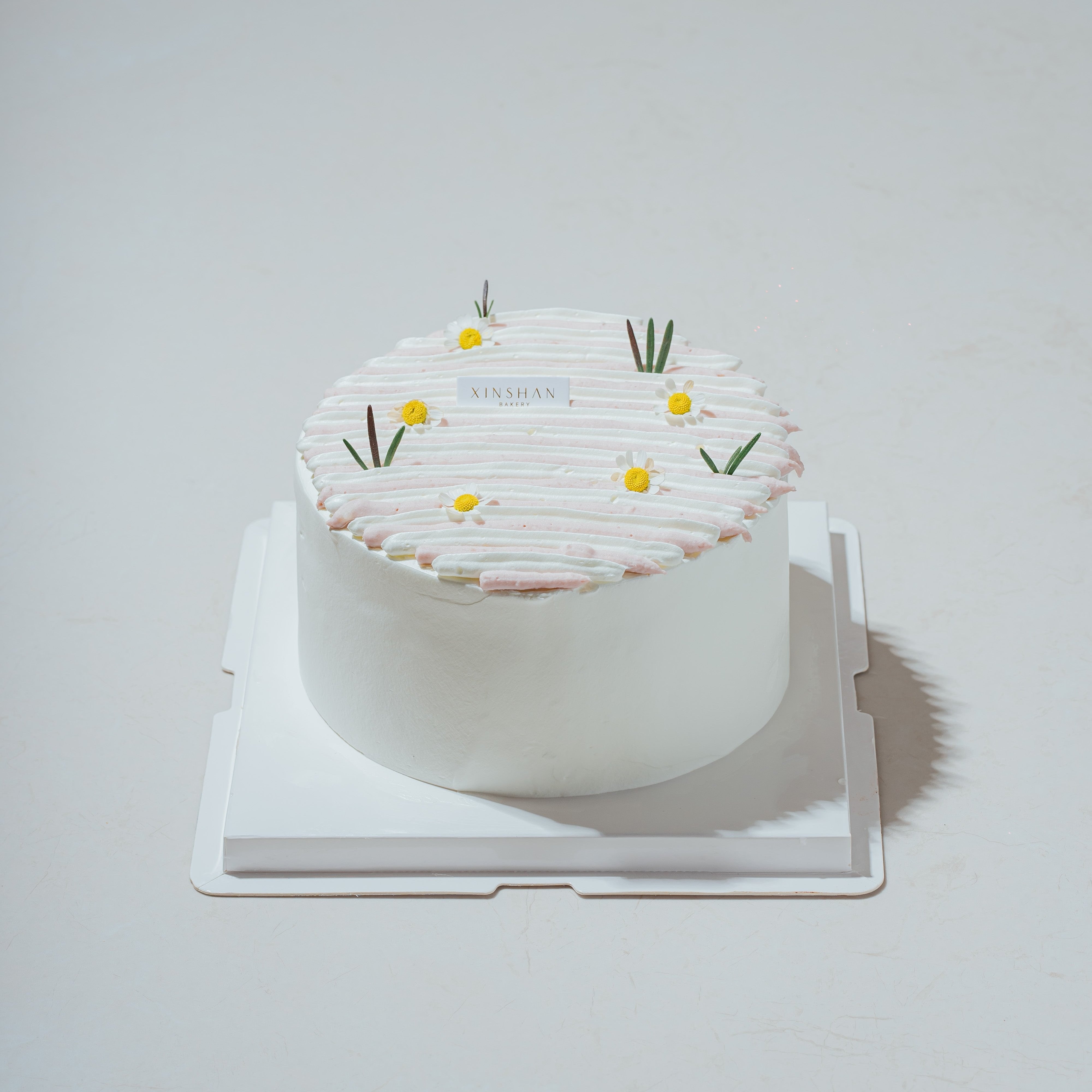 SEINYU CAKES – Xinshan Bakery