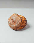 CONFIT TOMATO CHEDDAR CHEESE SOURDOUGH